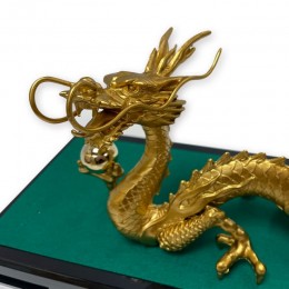金龍　Gold Dragon（きんりゅう）　サンプル1